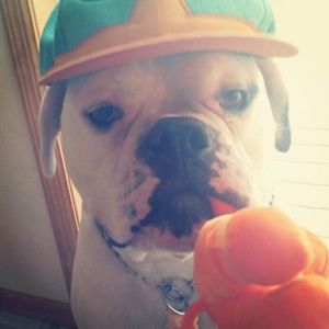 Meet your Posher, David